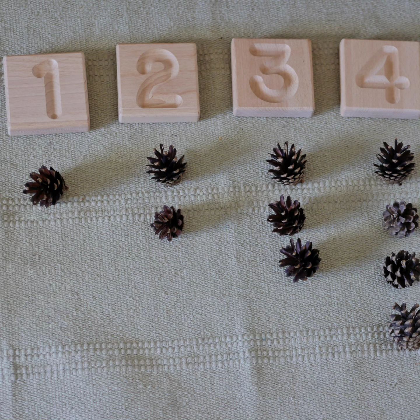 375121184 290315783742493 6604962550623659594 n